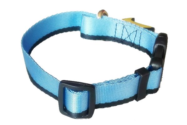 Coiléar Oiliúna Madraí Dog Training Collars
