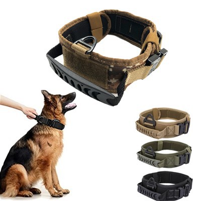 Collar Madra Oirbheartaíochta Pearsanta
